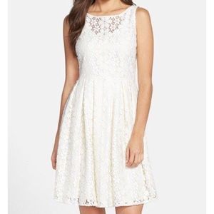 Taylor Fit & Flare Lace Dress
